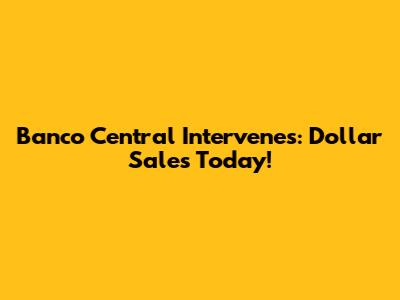 Banco Central Intervenes: Dollar Sales Today!