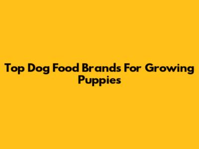 Top Dog Food Brands For Growing Puppies